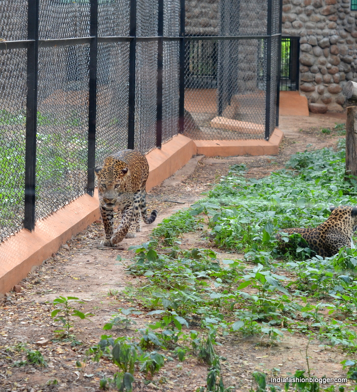 Mysore zoo